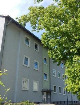 Frisch renovierte 3-Raum-EG-Wohnung in gepflegtem Umfeld - Recklinghausen
