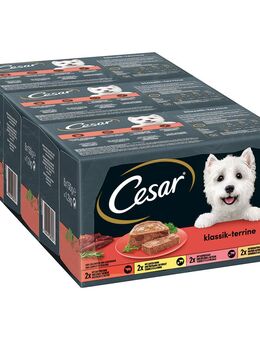Cesar Classic Selection Mixkarton - Classic Terrine (24 x 150 g)