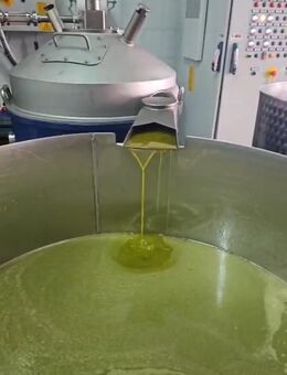 Olivenöl aus Italien - Ravensburg