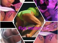 DER 🇩🇪GEILSTE 🇩🇪BLOWIE 🇩🇪IN 🇩🇪HANNOVER 💋Mit Handy Aufnahme😉💦 - Hannover Herrenhausen-Stöcken