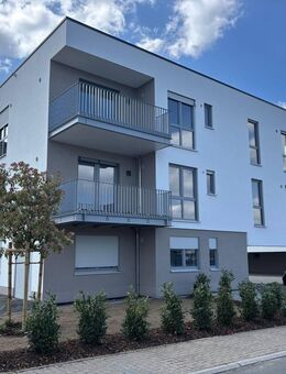 Stilvolle, großzügige 3-ZKB-Wohnung in Haiger (NEUBAU-ERSTBEZUG) - Haiger