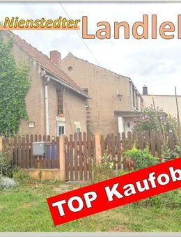 Nienstedter LANDLEBEN - Allstedt