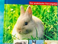 Buch Zwergkaninchen Ratgeber - Dorfen