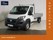 Fiat Ducato, Maxi 180 MJT 35 L5 H1 EInzelkabine Pritsche, Jahr 2024 - Pilsach