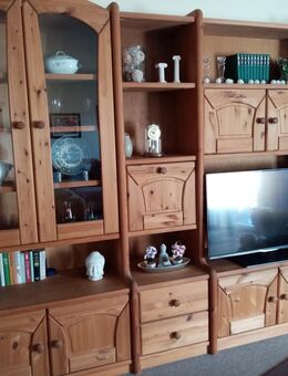 Wohnzimmerschrank - Springe
