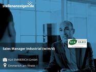 Sales Manager Industrial (w/m/d) - Emmerich (Rhein)