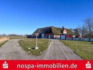 Keine Nachbarn! Ländliches Leben unter Reet - Neukirchen (Landkreis Nordfriesland)