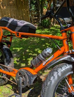 Lil'Buddy von Ruff Cycles - Panketal