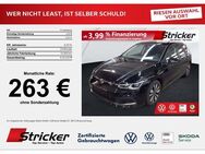 VW Golf Move 2.0TDI DSG 263,-ohne Anzahlung AHK Pan - Horn-Bad Meinberg