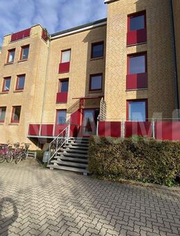 Vermietetes Apartement in Uni- und Bahnhofsnähe - Greifswald