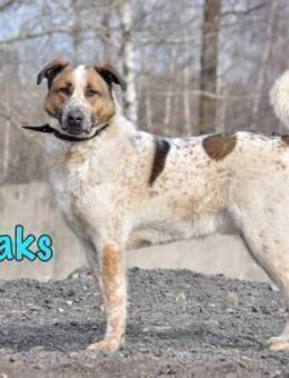 Baks ausgeglichen & sanftmütig 11/21 - Ruppertsecken