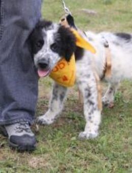 Zeigst du Ducky das Leben?! - München