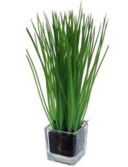 Kunstgras Gras im Glas Gras, Creativ green, Höhe 23 cm