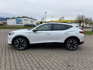 CUPRA Formentor, 2.0 TSI VZ 4 Drive, Jahr 2024 - Achern