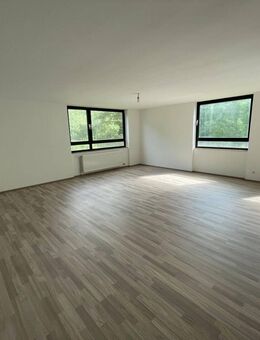Charmante 1-Zimmer-Wohnung mit Seeblick in Nürnberg - renoviert und sofort bezugsfrei - Nürnberg