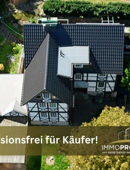 Provisionsfrei für Käufer, 3 (+1?) Eigentumswohnungen,Garten, Teich & Garagen - in Belecke entdecken - Warstein