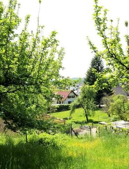 Grundstück mit Altbestand in Hang/Waldrandlage für Naturliebhaber in Altenstadt/Iller - Altenstadt (Regierungsbezirk Schwaben)