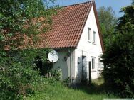Seedorf - kleine Doppelhaushälfte auf großem Grundstück - Seedorf (Niedersachsen)