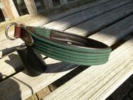 Hundehalsband Zugstopp Gurt/Leder Einzelstück von Sattler gefertigt grün-braun - Aachen