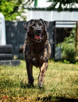 SHELL - da gibt's noch viel zu lernen - Overath