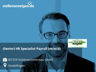 (Senior) HR Specialist Payroll (m/w/d) - Sindelfingen