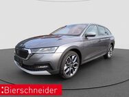 Skoda Octavia, 2.0 TDI Combi Scout, Jahr 2024 - Straubing