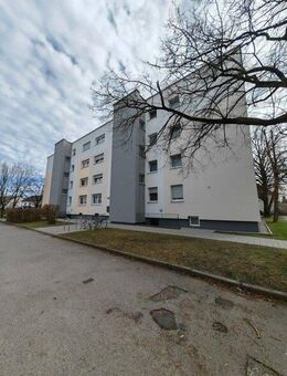 Familienfreundliche 4-Zi-Whg. sucht nette Familie! - Augsburg