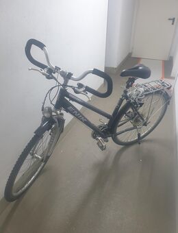 Damenfahrrad - Kelkheim (Taunus)