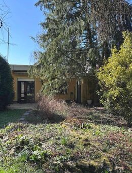Natur pur - Bungalow in Toplage am Waldrand von Bad Vilbel! - Bad Vilbel