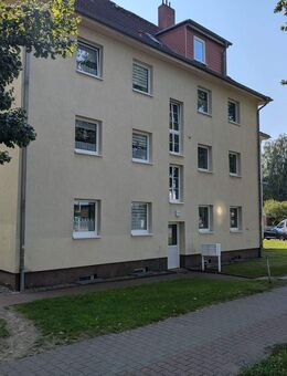 Renovierte Erdgeschosswohnung in Stralsund - Stralsund