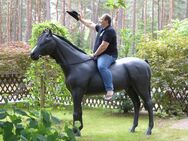 Deko Pferd Horse lebensgroß auf Rollen mit Feststellbremsen und echten Hufeisen an den Hufen gibt es sowas ? Ja gibt es … Tornado - Heidesee