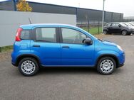 Fiat Panda, 1.0 HYBRID GSE 70PS CITY PAKET, Jahr 2024 - Dreieich