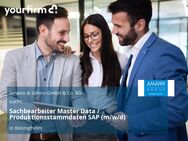 Sachbearbeiter Master Data / Produktionsstammdaten SAP (m/w/d) - Bönnigheim
