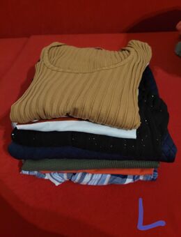 Shirts - Habichtswald