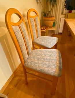 Stühle 6 Stk. Buche - Hamburg Bergedorf