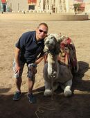 Für Sie kostenfrei - Reisebegleitung gesucht in 65191