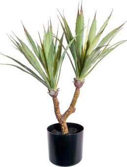 Künstliche Zimmerpflanze Agave Sukkulente, Creativ green, Höhe 60 cm