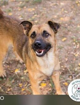 Miro: Entdecker mit Herz - Kirchzell