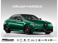 Alfa Romeo Giulia, 2.9 Quadrifoglio MY24 V6 Bi-Turbo 520PS AT8 KOHLEFASER TROFEO TECHNOLOGIE, Jahr 2024 - Pohlheim