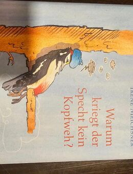 Warum kriegt der Specht keinen Kopfweh - Reichenbach (Fils)