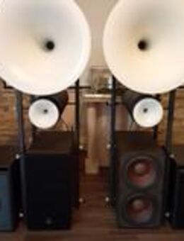 Avavtgarde aacoustic Uno G1 Hornlautsprecher der Superlative - Norden