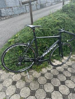 Müsing Aviator Carbon Größe 56 Ultegra - Penzberg