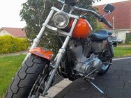 Harley Davidson XLH 883 - Schladen-Werla