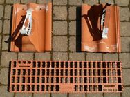Braas Harzer Pfanne mit Sicherheitstritt - Bad Bodenteich