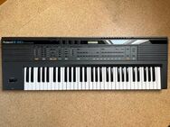 Roland E-20 Synthesizer - Köln