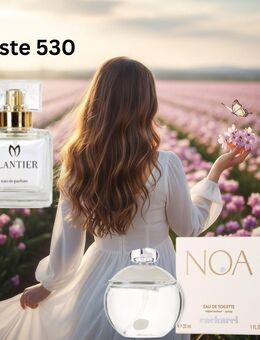 Glantier 530 - Inspiriert von Cacharel Noa - Burg Reesen
