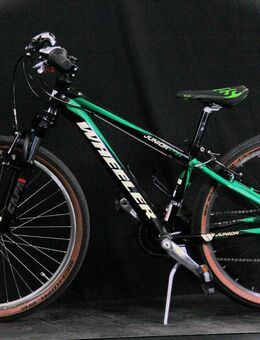 Ein abenteuerhaftes Kinderfahrrad WHEELER, B25/208 - Aarau