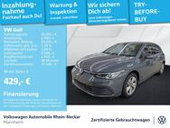 VW Golf, 2.0 TDI VIII Life, Jahr 2024 - Mannheim