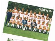 adidas Mannschaftskarte 1. FC Köln 70er-90er - Fulda Zentrum