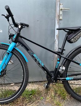 Scool Jugendrad 27,5 Zoll - Landsberg